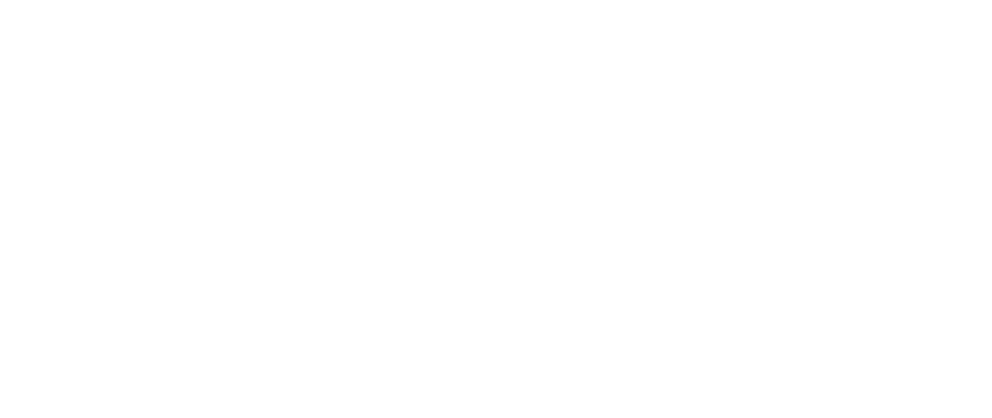 shadow guard logo